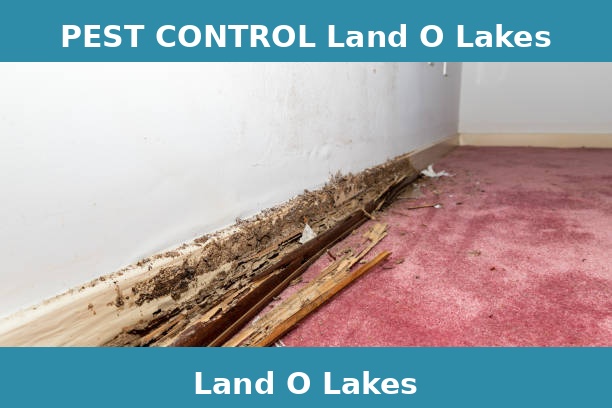 PEST CONTROL Land O Lakes